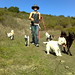 Sara Crews Photo 11