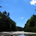 Harry Halstead Photo 8