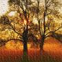 Andrew Madsen Photo 23