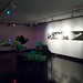 David Ulcak Photo 1