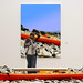 Byron Matthews Photo 19