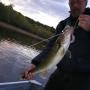 Don Hopper Photo 21