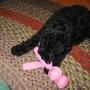 Audrey Clarke Photo 19