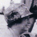 Mary Durbin Photo 15