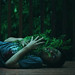 Jason Lau Photo 10