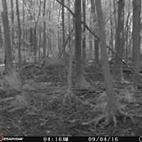 Robert Gaudette Photo 4