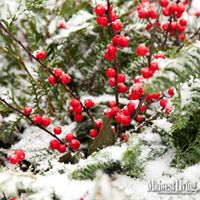 Kathie Rowe Photo 7