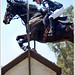 Julie Boyer Photo 9