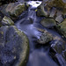 Doug Dailey Photo 14