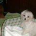 Linda Doolittle Photo 14
