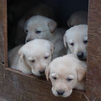 Cathy Jacobson Photo 12