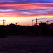 David Caso Photo 8