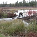 Cindy Beavers Photo 26