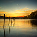 William Ard Photo 23