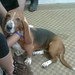 Angel Foster Photo 13