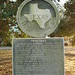 Alma Nicholson Photo 8