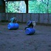 Janet Bak Photo 7