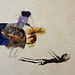 Marianne Haas Photo 7