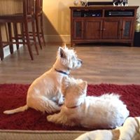 Sharon Macdonald Photo 33