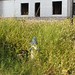 Scott Cavanagh Photo 18