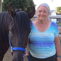 Judy Moser Photo 22