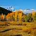 Daryl Hunter Photo 32