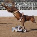 Emily Neilson Photo 20