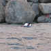 John Pangborn Photo 18