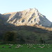 Monte Lamb Photo 3