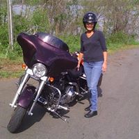 Debra Gunn Photo 12