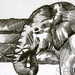 P E Photo 21
