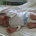 Daniel Nagy Photo 5