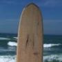 Sue Devine Photo 23