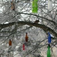 Nancy Schrock Photo 3