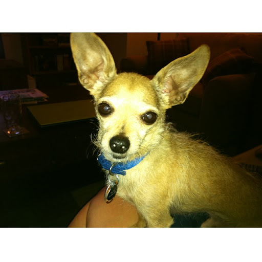 Kelly Ralston Photo 9