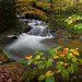 David Rios Photo 21