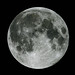 Alan Shephard Photo 28