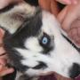 Peter Lundquist Photo 9