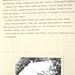 Cora Anderson Photo 19