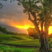 Harold Rogers Photo 29