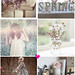 Claudia Burr Photo 13
