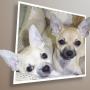 Debbie Childers Photo 24