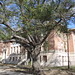 Christy Morris Photo 34