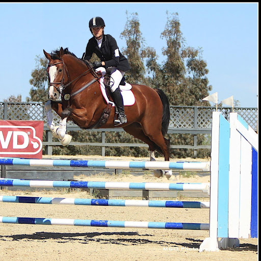 Susan Davies Photo 10