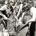 Thomas Cross Photo 45