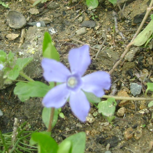 Jan Mcgill Photo 19