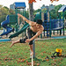 Steve Slack Photo 28