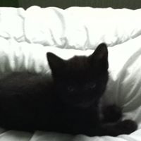 Hettie Benjamin Photo 2