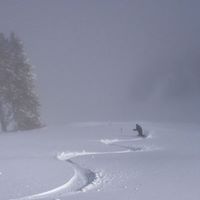 Stephen Spaulding Photo 29
