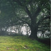 Misty Welsh Photo 9